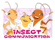 Simple bug activities: Insect communication